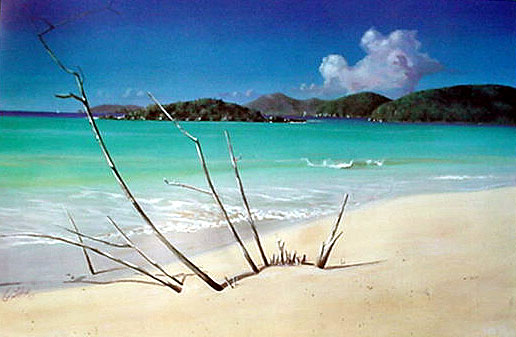 Cinnamon Bay, St. John (L1) Cinnamon Bay, St. John (L1)